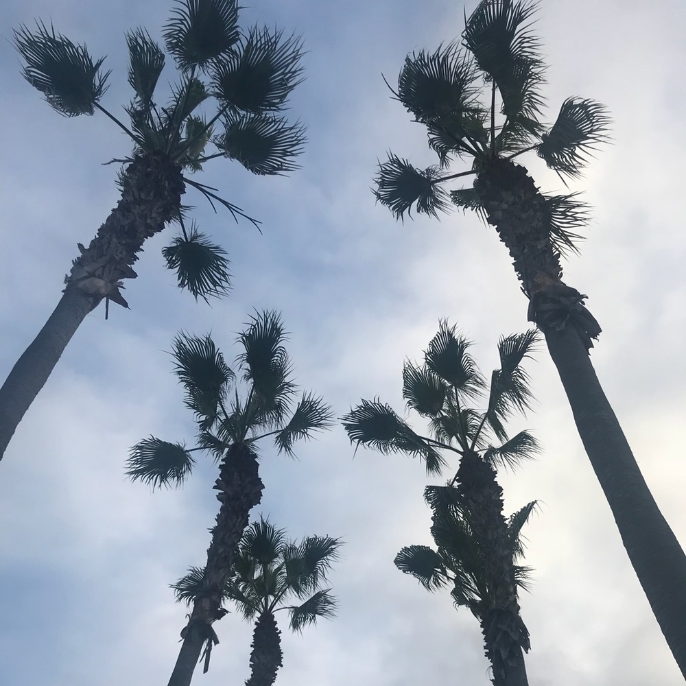 Meet your Posher, Eve